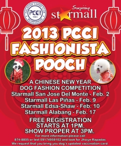 2013 PCCI Fashionista Pooch